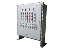 ��̶����������İ�ȫ��